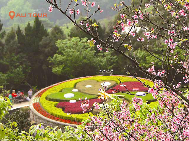 Chiêm ngưỡng cảnh đẹp ở công viên Dương Minh Sơn