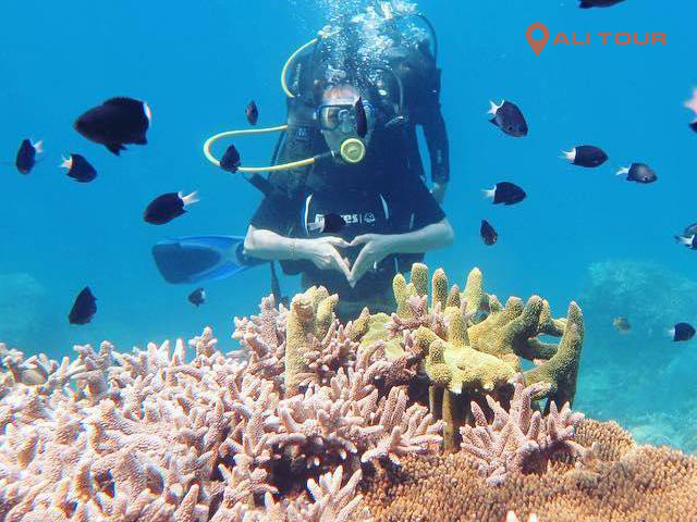 Lặn biển ngắm san hô đem đến cho bạn nhiều trải nghiệm thú vị
